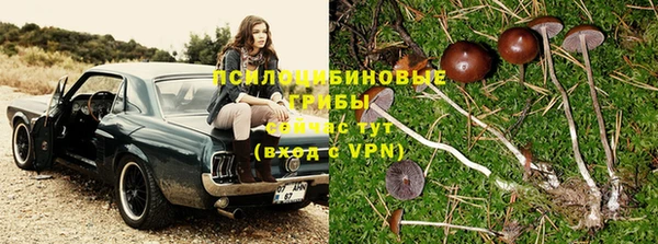 экстази Белокуриха