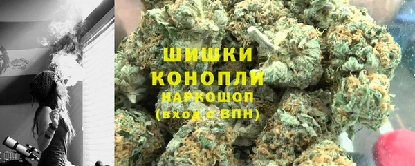 индика Пестово