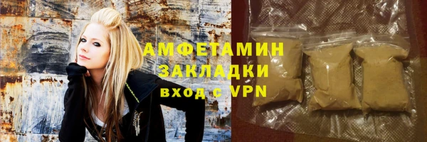индика Пестово
